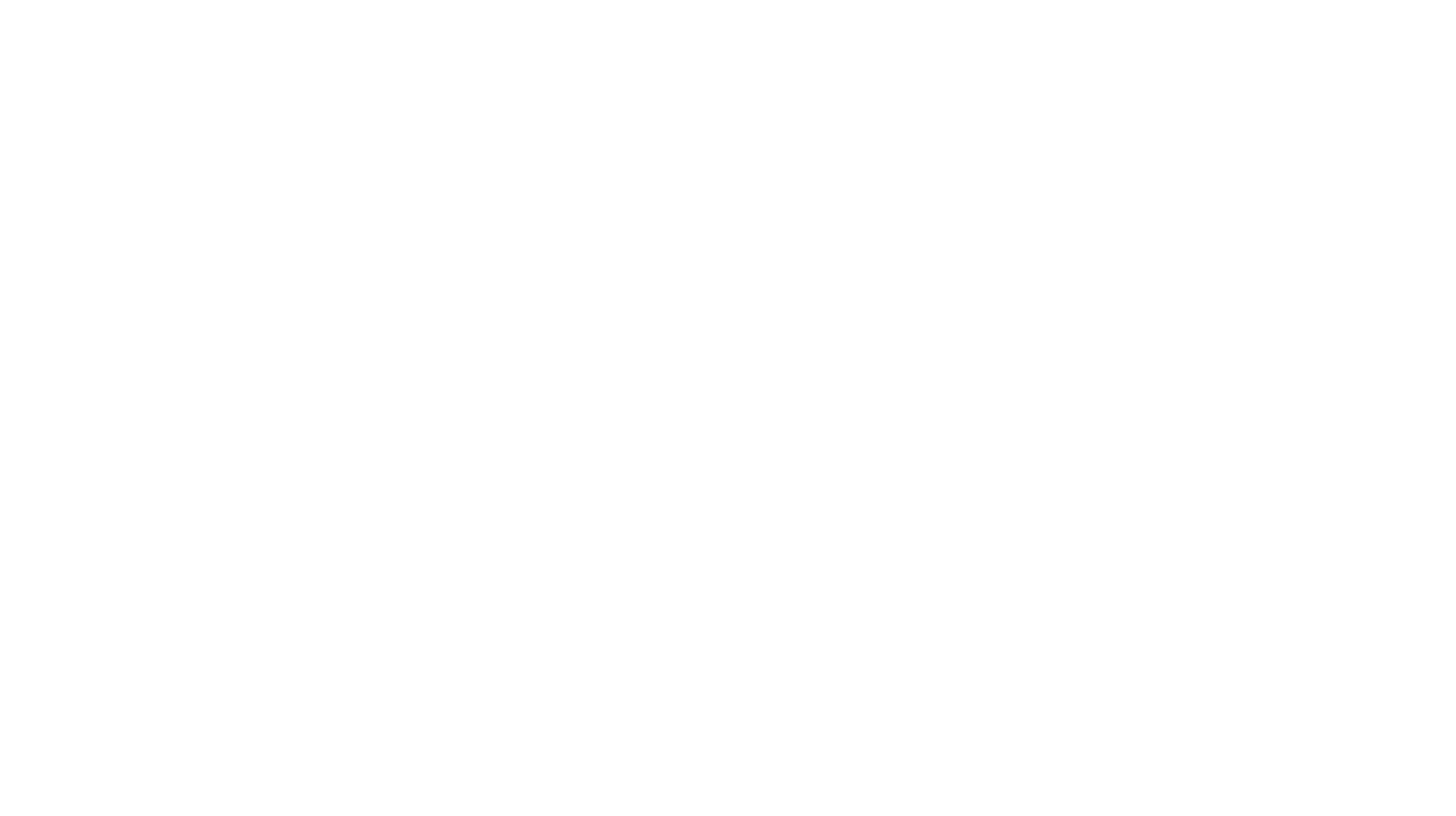 PlayInnovation_S2_Logo_RGB-2 PLAY 2.2 White Logo Transparent Background-2