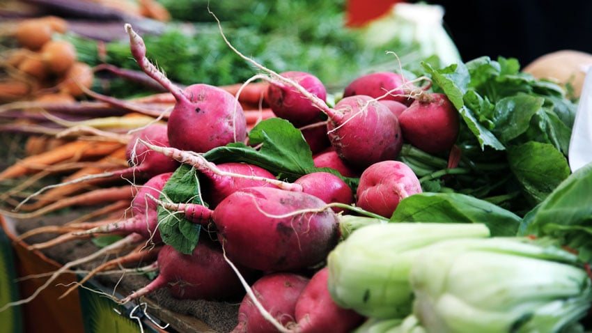 Plant-based food consumer demand
